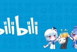 椿爆料b站视频,揭秘网络红人的幕后故事