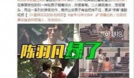 夜澜最新爆料新闻事件视频,最新爆料新闻事件视频深度解析