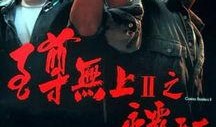 电影至尊无上在线观看,巅峰对决，在线观影指南