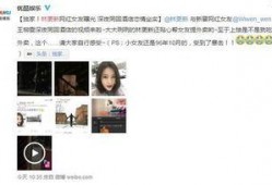 刘帅宇爆料截图视频大全,揭秘娱乐圈幕后真相