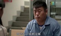 在线观看乡村爱情8,续写田园梦，再续乡村情缘