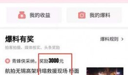 巴中头条今日爆料,揭秘背后惊人真相！