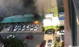 河南小区爆料视频大全集,真实生活瞬间，揭开社区生活面纱