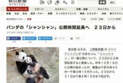熊猫天天最新新闻爆料,最新热点事件内幕曝光