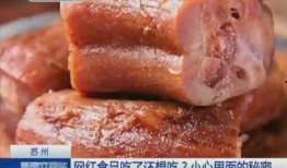 鸭脖网红爆料视频大全下载,揭秘网络红人背后的故事