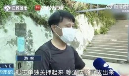 余姚吃瓜网红富二代,吃瓜背后的奢华生活揭秘