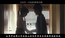 日本乱理伦片在线观看,在线观看背后的真相与争议