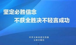 玉林新闻爆料举报,揭开背后真相，正义终将到来