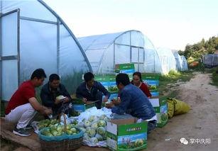 娱乐坊吃瓜一线,吃瓜一线,揭秘娱乐圈幕后风云