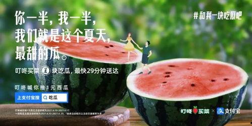 娱乐吃瓜文案怎么弄的,揭秘娱乐吃瓜文案背后的创作技巧与热点追踪