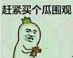 吃瓜群众表情包的内容有哪些,揭秘网络社交中的趣味与讽刺