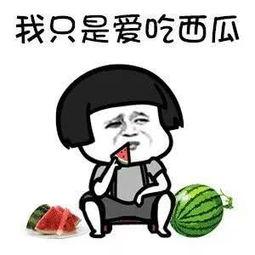 娱乐吃瓜全部,揭秘明星幕后故事,吃瓜群众狂欢盛宴