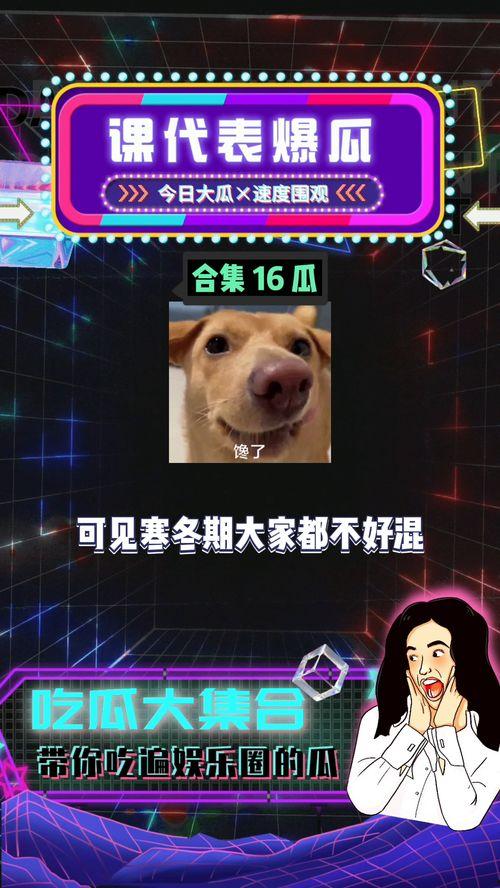 娱乐吃瓜全部,揭秘明星幕后故事,吃瓜群众狂欢盛宴