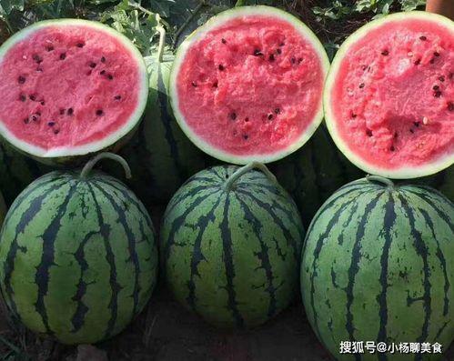吃瓜网免费官网免费,畅享海量资讯,轻松获取免费福利