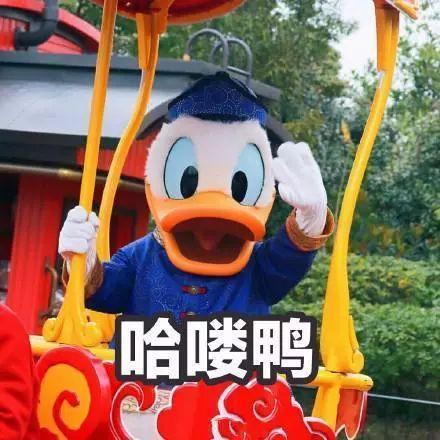 娱乐吃瓜君鸭