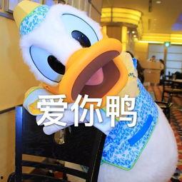 娱乐吃瓜君鸭