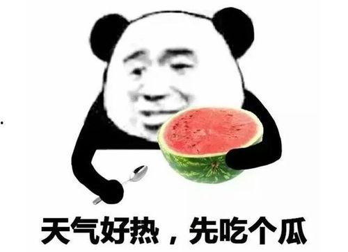表情图吃瓜是什么意思网络用语,表情图“吃瓜”背后的趣味解读